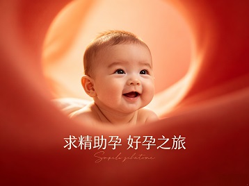 平鲁求精助孕科学助孕 开启专属好孕之旅
